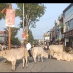 Screenshot_2025-09-11-19-02-24-18_99c04817c0de5652397fc8b56c3b3817