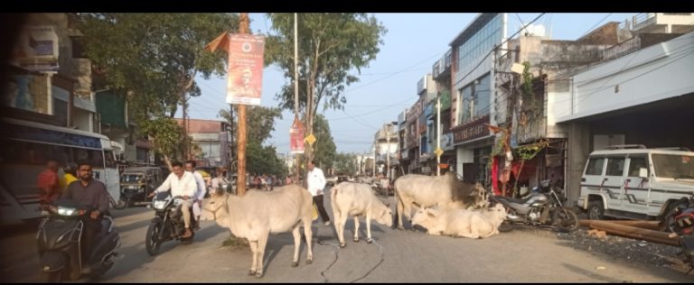 Screenshot_2025-09-11-19-02-24-18_99c04817c0de5652397fc8b56c3b3817